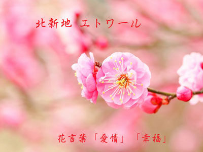 �k�V�n ���E���W �ڑҁE�����k�Ȃ�b���E���W �G�g���[���y�n��52�N�̈��S���z